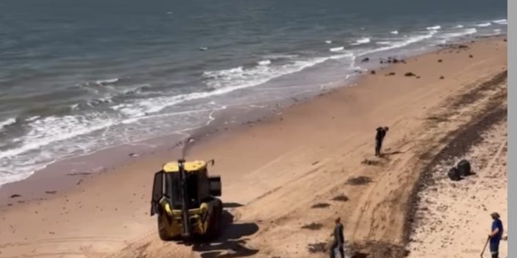 Moradores da Praia de Ponta Verde reconhecem atuação do vereador Nilton da Saúde em buscar melhorias para o local