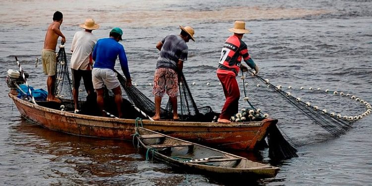 Município de Icatu tem mais de 1000 carteiras de pescadores suspensas pelo Ministério da Pesca