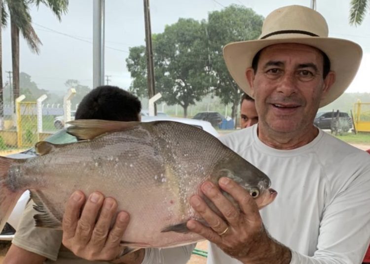 Prefeito Eustáquio Sampaio distribui peixes em diversas regiões de Cidelândia e mantém tradição da Semana Santa