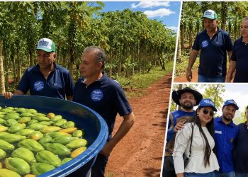 Em Grajaú e Ribamar Fiquene, Erlanio Xavier reforça apoio ao setor agrícola no estado do Maranhão