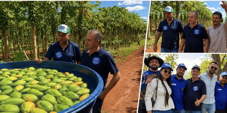 Em Grajaú e Ribamar Fiquene, Erlanio Xavier reforça apoio ao setor agrícola no estado do Maranhão